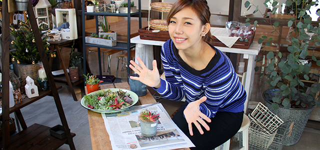 素敵なカフェがある多肉植物屋 Cotyledon 宮崎市 宮崎の女子力アップ応援サイト Miyajo ミヤジョ